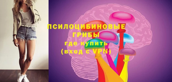прущая мука Няндома