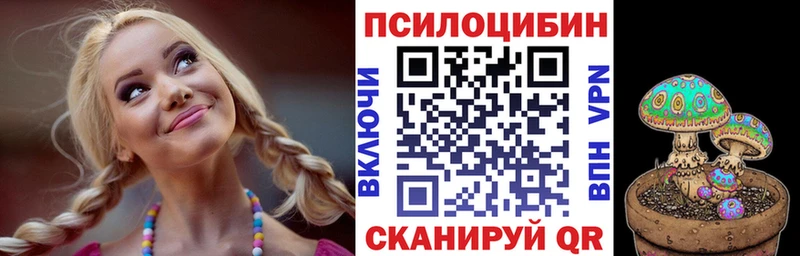 это наркотические препараты  Бабушкин  Галлюциногенные грибы Psilocybine cubensis 